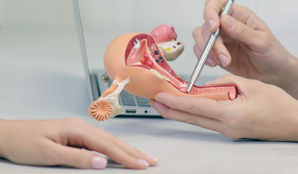 تخصص زنان و زایمان چیست |دکتر زنان چه بیماری را درمان میکند 9 فعالیت دکتر زنان