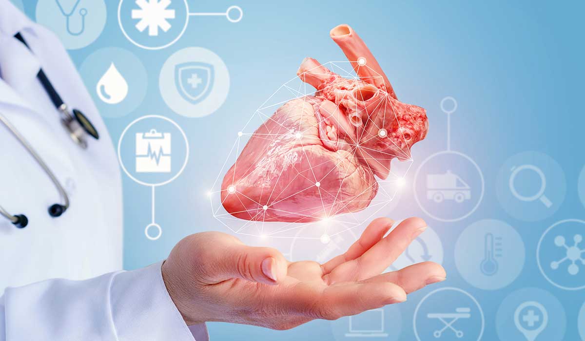 تخصص قلب و عروق چیست و دکتر قلب کیست؟ آشنایی با تخصص قلب 6 تخصص قلب و عروق چیست