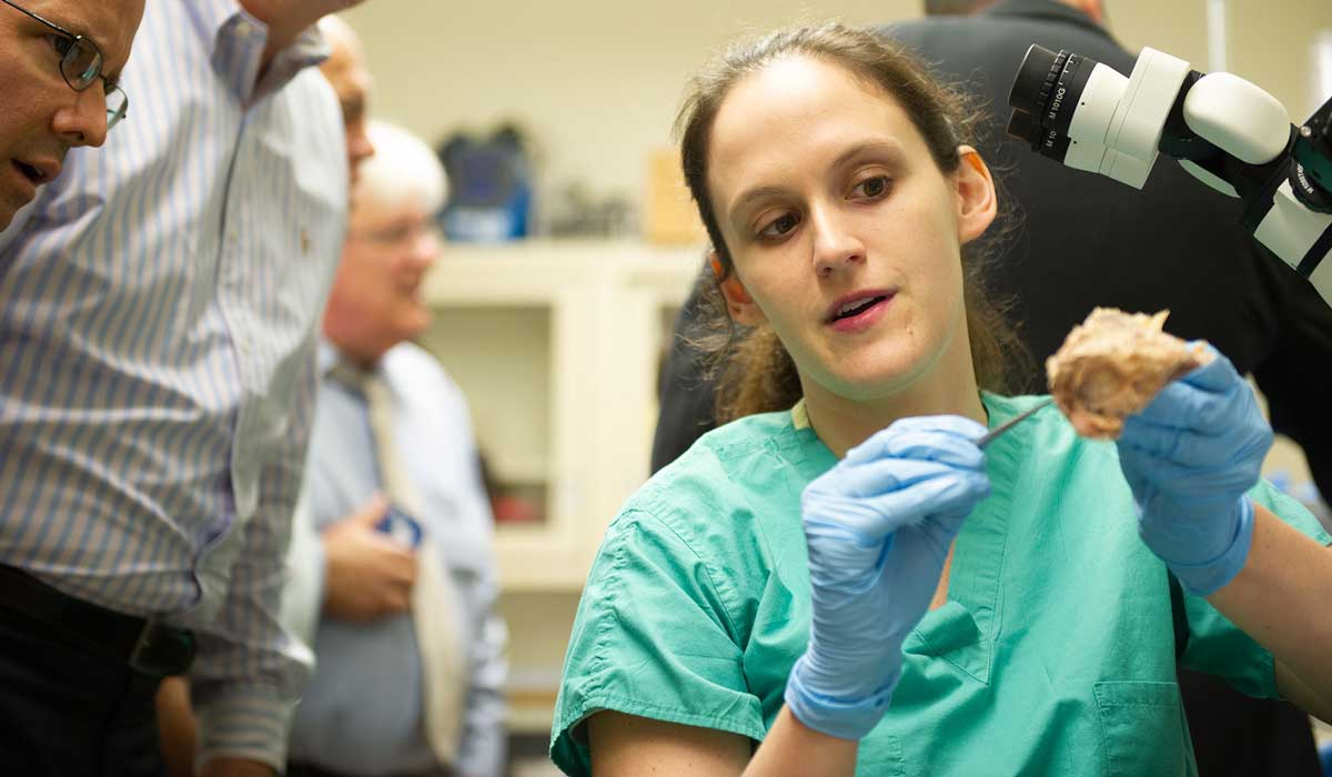 تخصص گوش و حلق و بینی چیست و دکتر گوش کیست؟_مستطیل زرد 18 دکتر گوش کیست