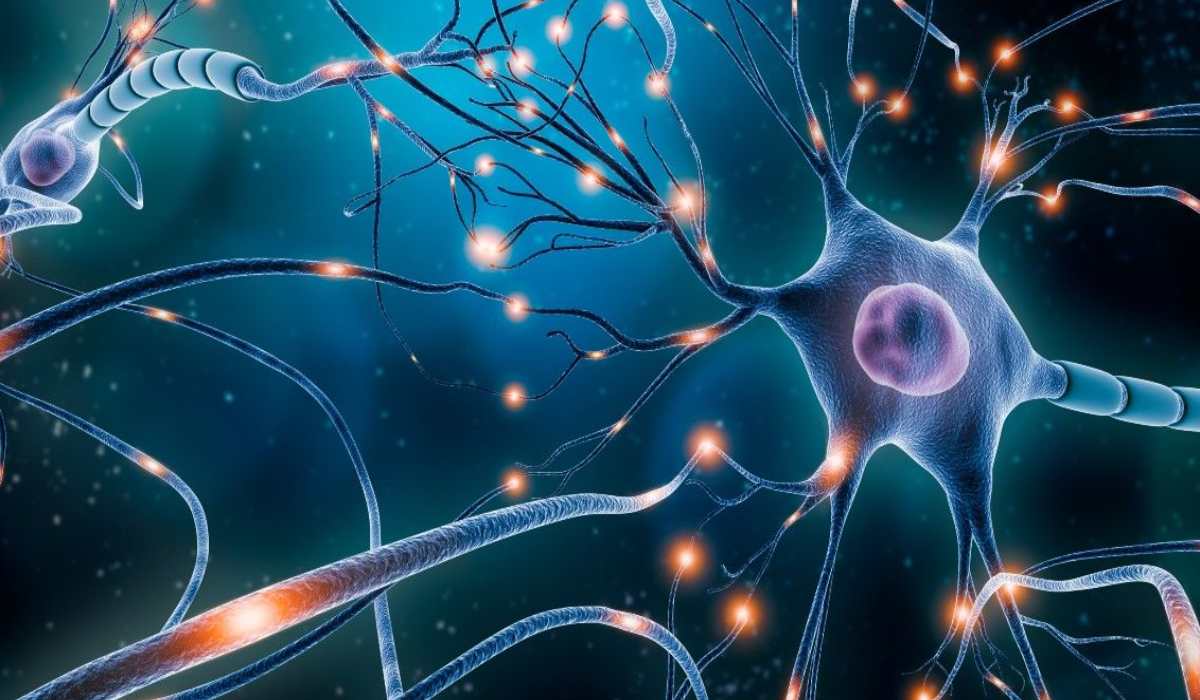 بیماری های نورولوژیک