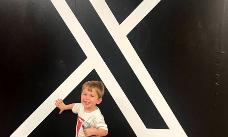 ایلان ماسک می‌گوید در شبکه اجتماعی ایکس یک اکانت ثانویه داشته است