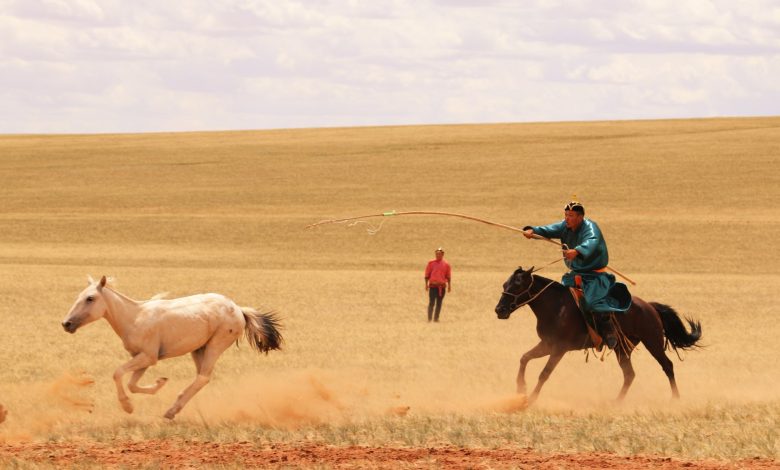 انسان‌ها هزار سال دیرتر از آنچه تصور می‌شد، اسب‌ها را اهلی کردند
