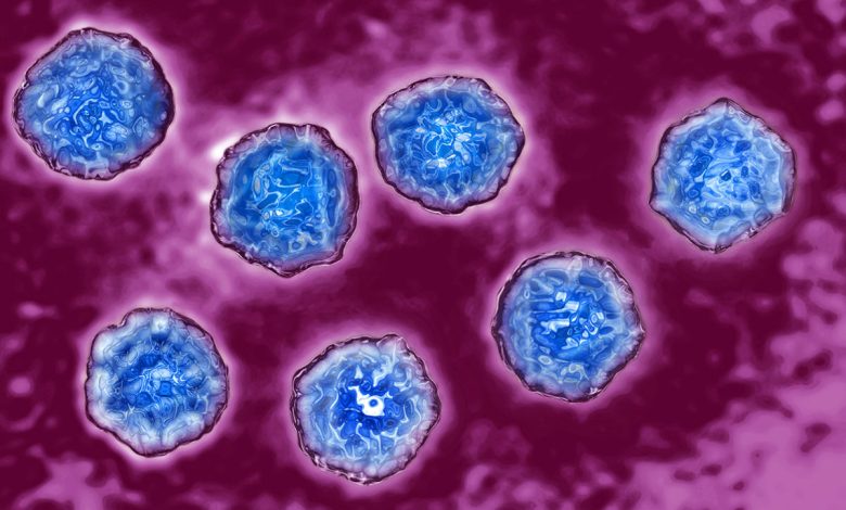 سویه‌ای قدیمی از ویروس فلج اطفال احتمالا از آزمایشگاهی در چین نشت کرده است