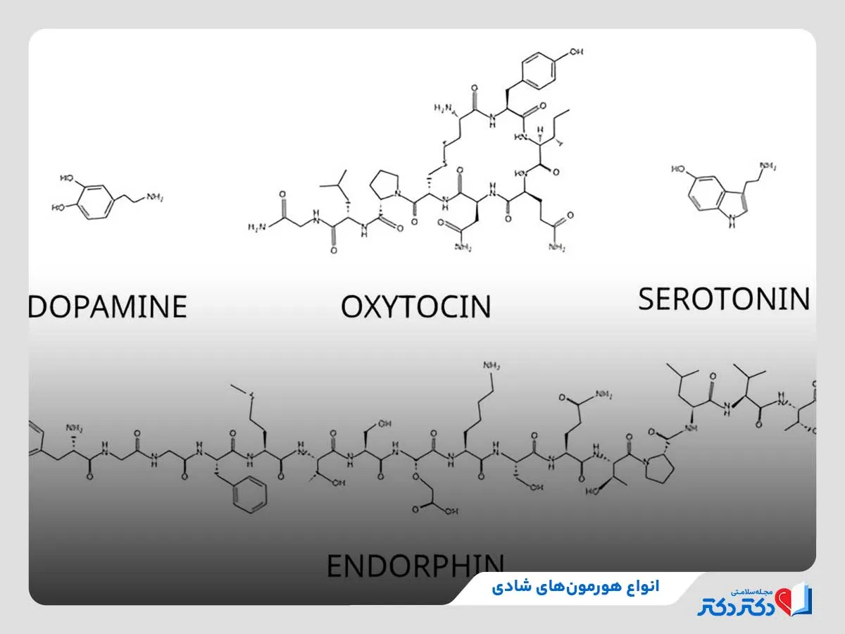 معارفه 4 نوع گوناگون هورمون نشاط + ۱۱ روش ساده برای افزایش آنها_مستطیل زرد 24 بررسی انواع هورمونهای شادی