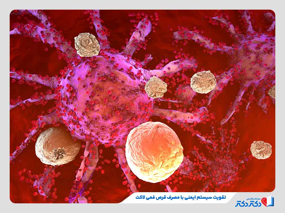 قرص فمی لاکت برای چیست و چه اثری دارد؟ + بهترین زمان مصرف_مستطیل زرد 4 افزایش سرعت واکنش گلبولهای سفید در برابر میکروبها با مصرف قرص فمی لاکت