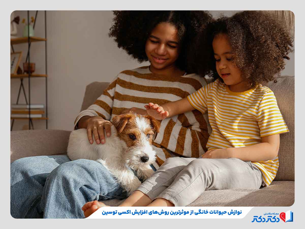 افزایش اکسی توسین کودکان در حال نوازش حیوان خانگی