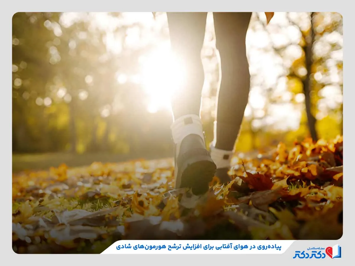 معارفه 4 نوع گوناگون هورمون نشاط + ۱۱ روش ساده برای افزایش آنها_مستطیل زرد 30 پیاده روی به منظور افزایش ترشح هورمونهای شادی