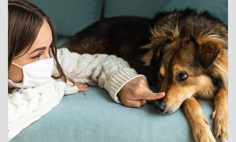 فرد مبتلا به آلرژی به سگ ها