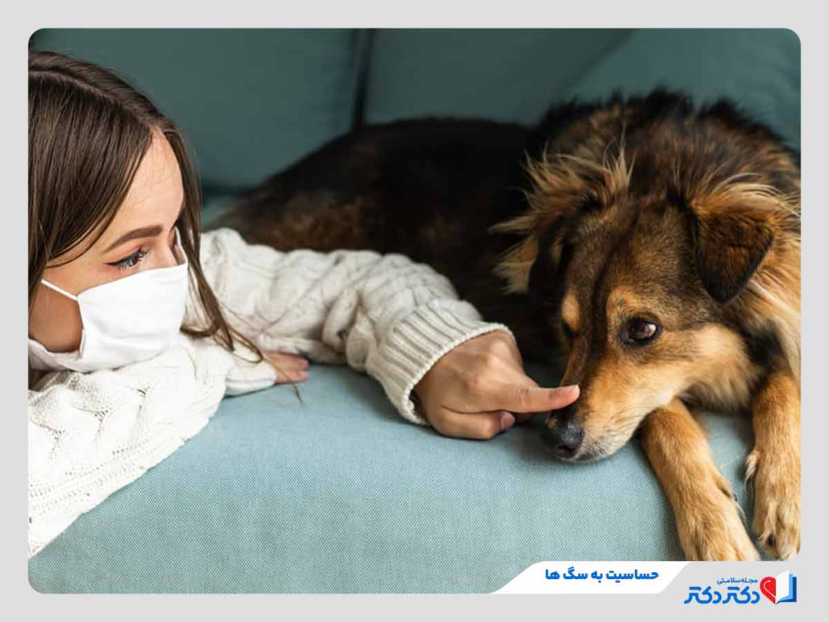 فرد مبتلا به آلرژی به سگ ها