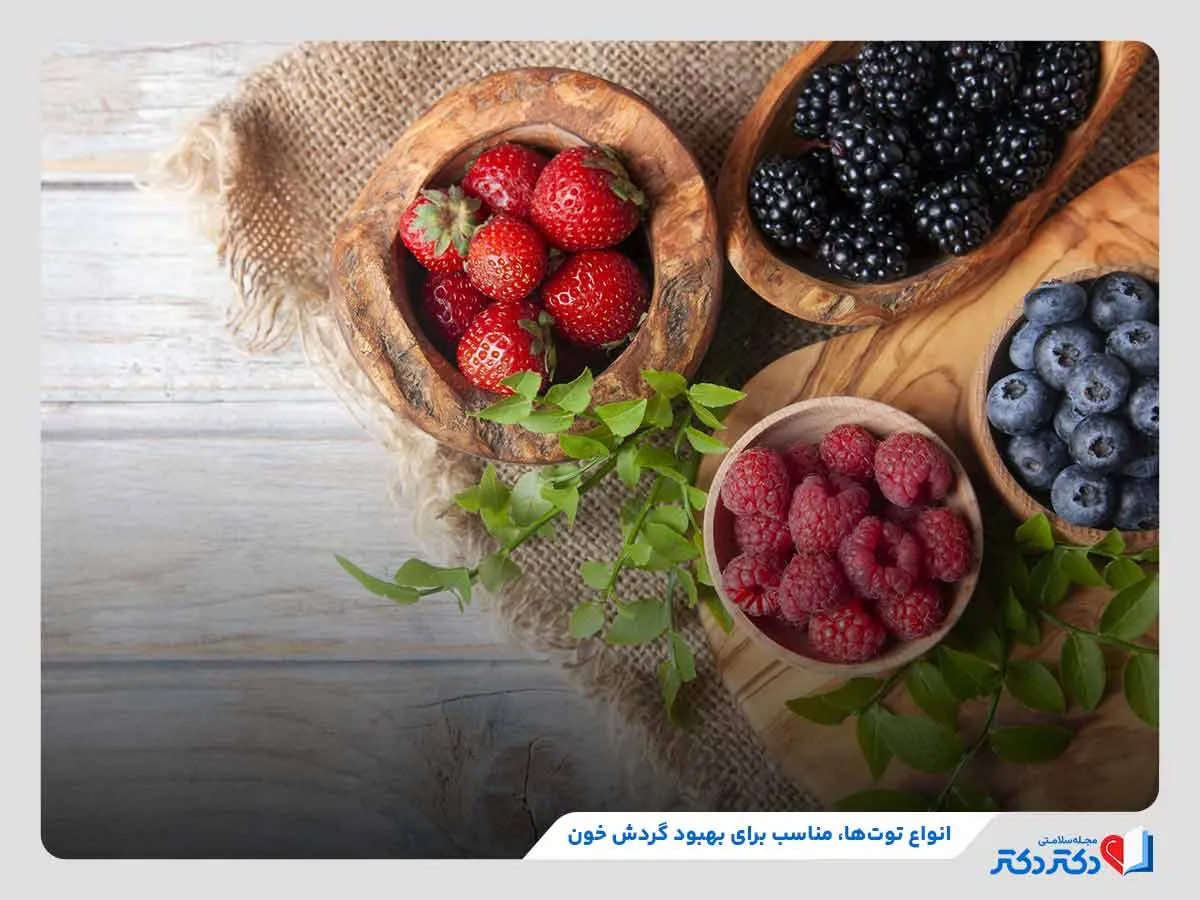 مصرف توت‌های برای افزایش گردش خون