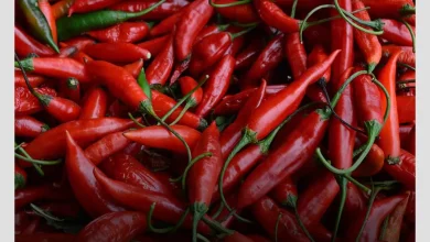 فلفل قرمز، یک ماده غذایی برای افزایش گردش خون
