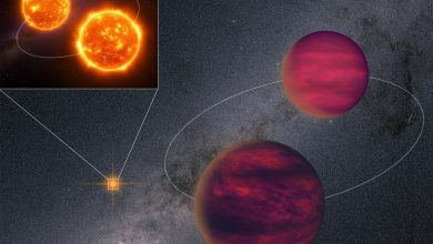 دو کوتوله قهوه‌ای، دو کوتوله سرخ؛ کشف کمیاب منظومه‌ای چهارتایی در کهکشان راه شیری