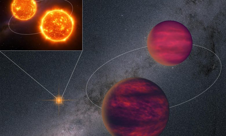 دو کوتوله قهوه‌ای، دو کوتوله سرخ؛ کشف کمیاب منظومه‌ای چهارتایی در کهکشان راه شیری