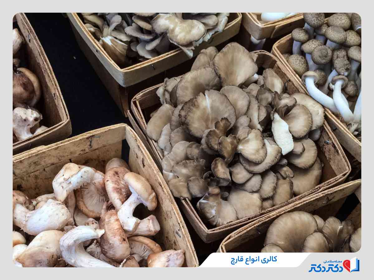کالری و ارزش غذایی تنواع قارچ