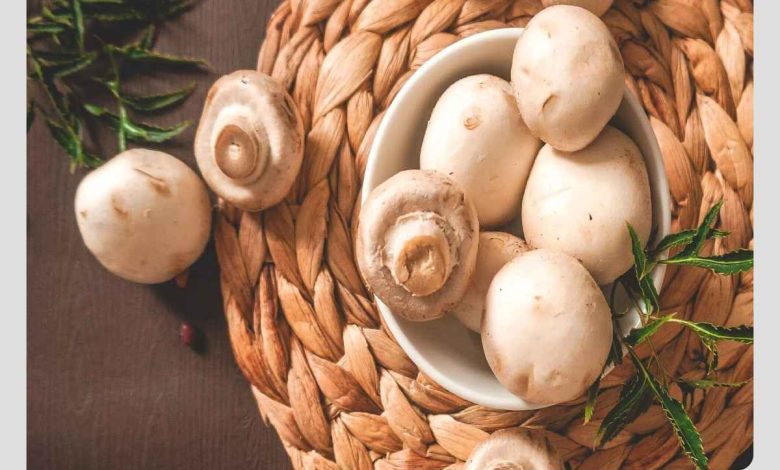 ارزش غذایی قارچ