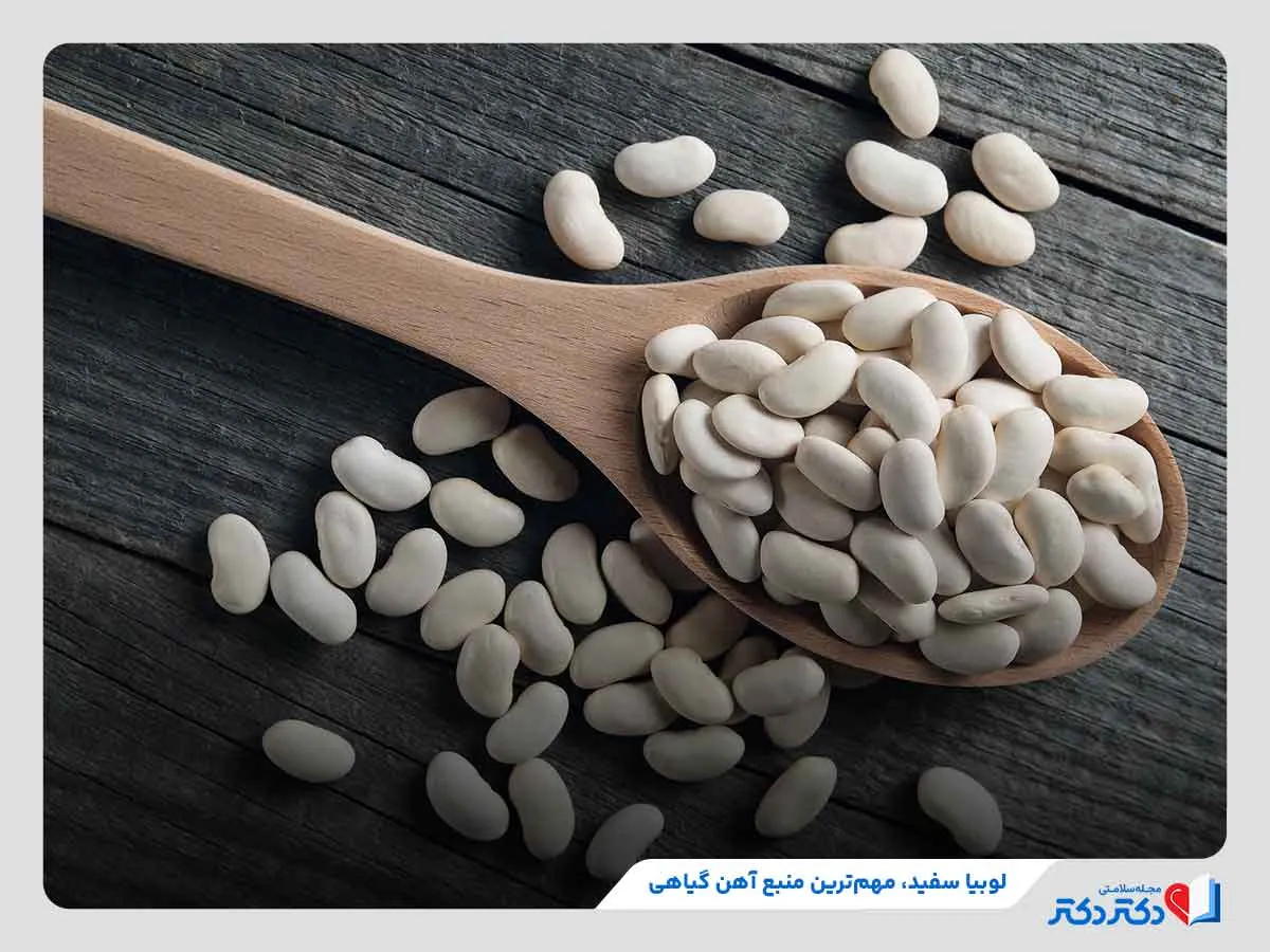 لوبیا سفید بهترین منبع آهن برای گیاه‌خواران