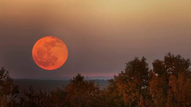 سنگ‌های ماه درحال زنگ‌زدن هستند و زمین عامل آن است