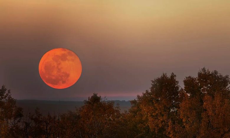 سنگ‌های ماه درحال زنگ‌زدن هستند و زمین عامل آن است